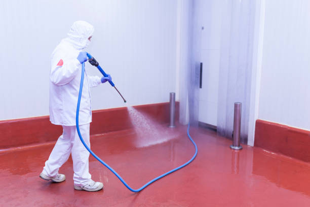 Best Warehouse Cleaning  in Whitmire, SC